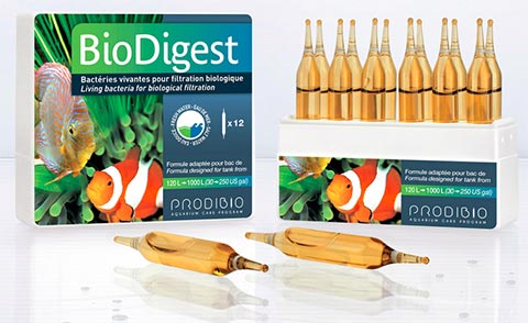 Produktbild Biodigest Bakterien 12