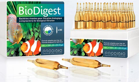 Produktbild Biodigest Bakterien 30